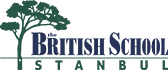 BISI National School logo